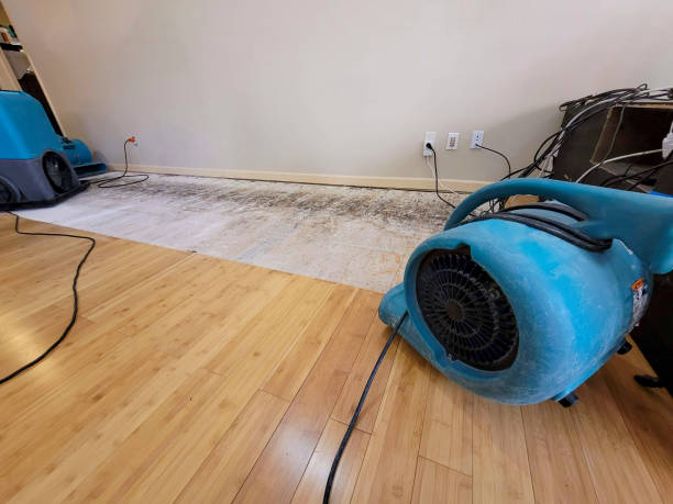Professional Basement Flood Cleanup technician working in Tujunga, CA